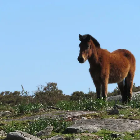 Πανσιόν Casarada *